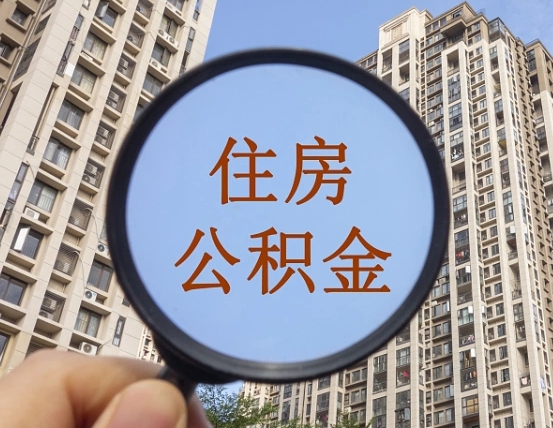 灯塔退休后查不到公积金明细了吗（退休后公积金查询不到原因）